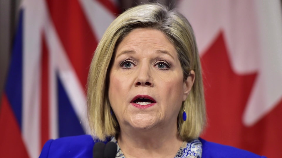 Opposition leader Andrea Horwath at a press conference.