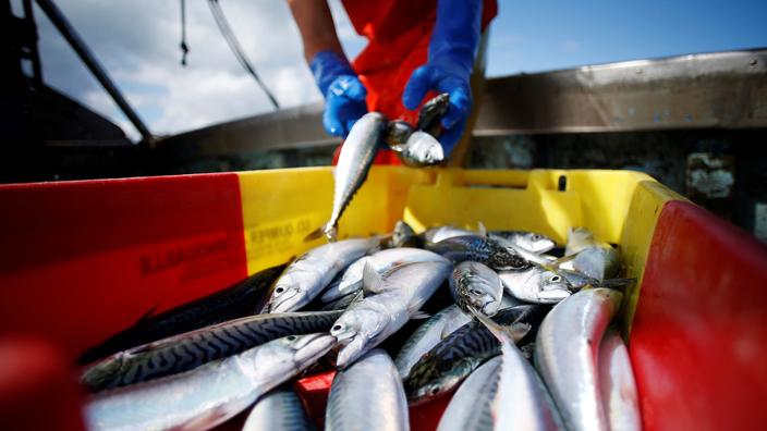 The European Union and the United Kingdom reach an agreement on catches in 2021