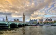 Three new species of sharks have been discovered in the River Thames in London