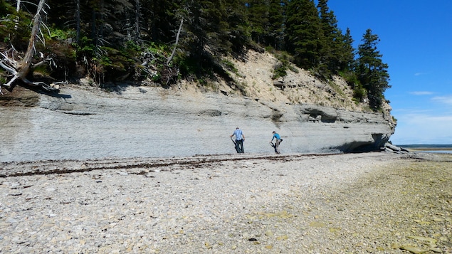 The first mass extinction of life on Earth was explained by Anticosti Island