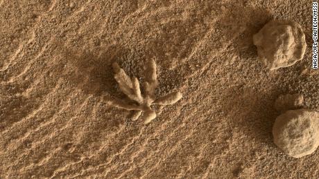 small & # 39;  flower & # 39;  Formation observed on Mars by the Curiosity rover