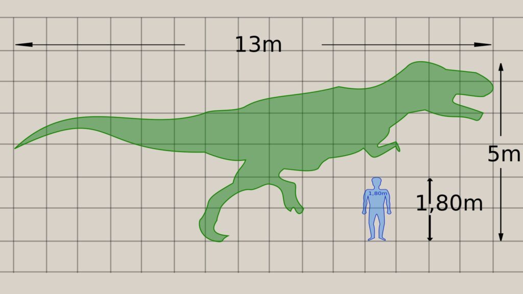 What if there were actually three species of T-Rex?