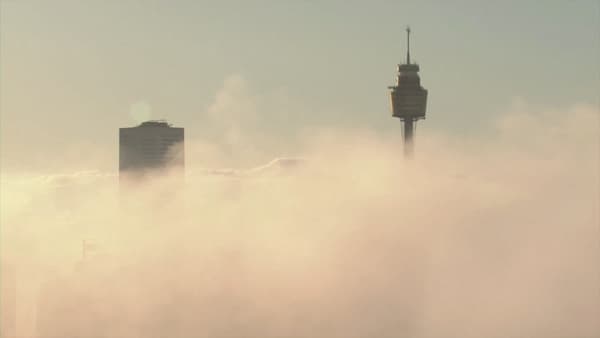 On the morning of Monday, July 25, Sydney was shrouded in dense fog.