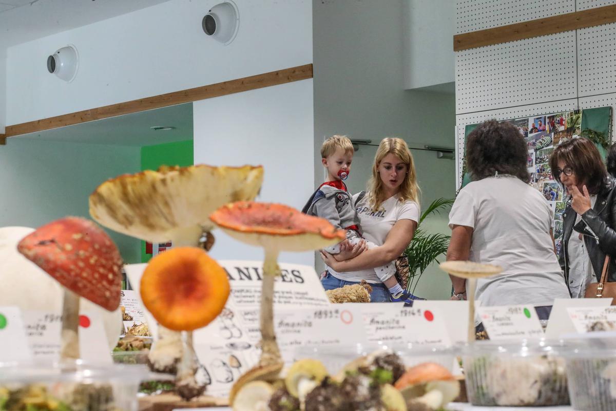 The mushroom fair was held in Bo throughout the weekend.