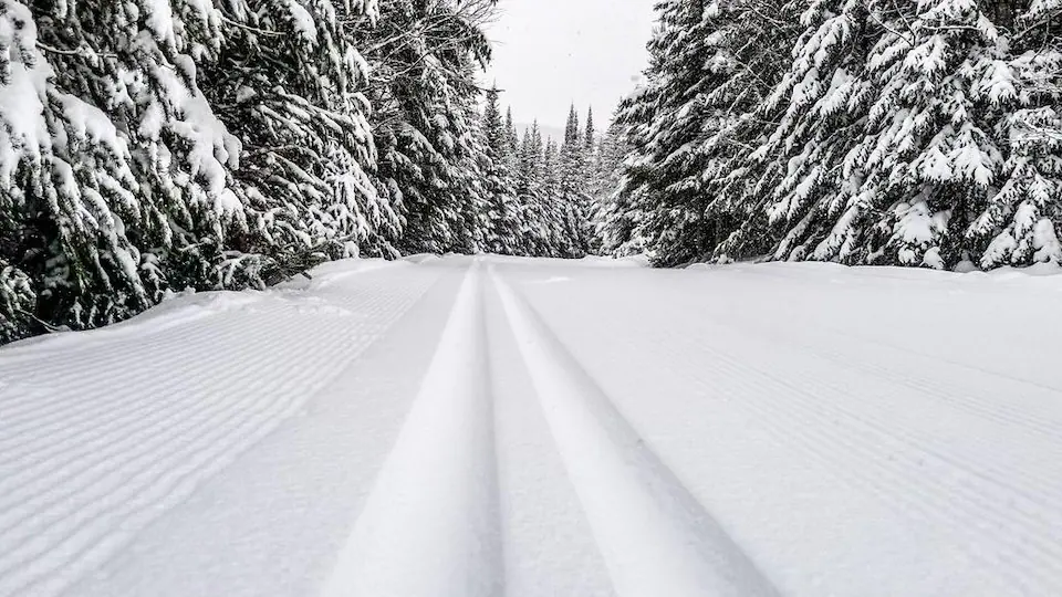 Newly tracked path in a snowy environment 